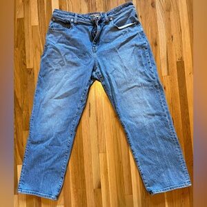 Madewell Size 31P The Curvy 90s Straight Jean